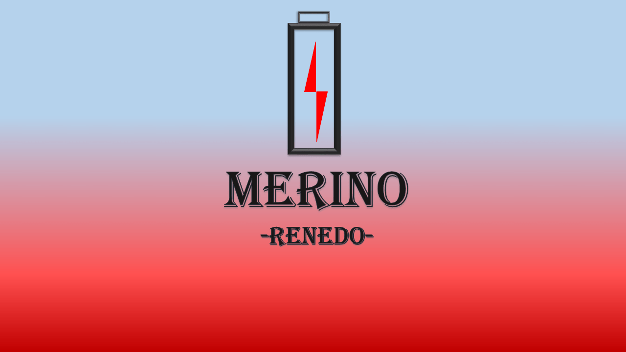 ELECTRICIDAD MERINO