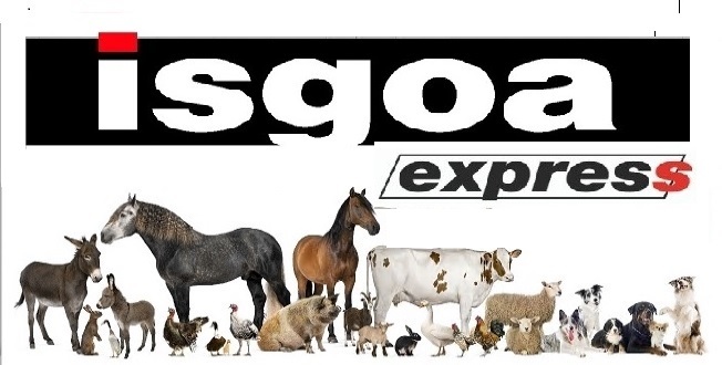 ISGOA EXPRESS