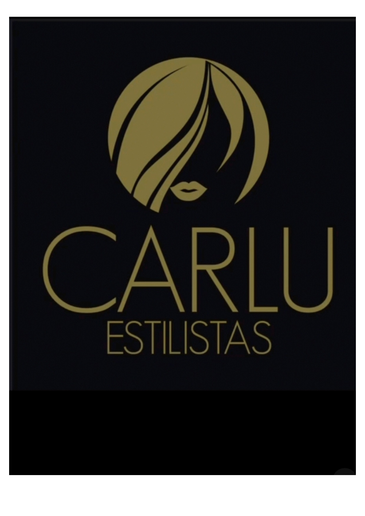 CARLU ESTILISTAS 