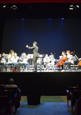Concierto fin de curso  Escuela ...