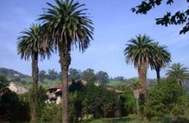 Palacio de los Condes de Mortera