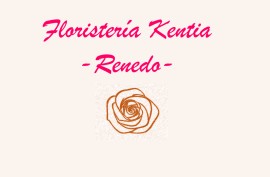 FLORISTERIA KENTIA
