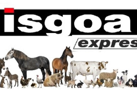 ISGOA EXPRESS