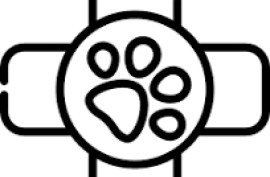 PELUQUERIA  CANINA DE PURA ALMA