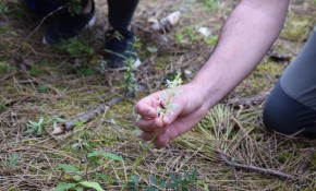 Salidas gratuitas ruta interpretada ...