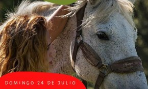 Jornada de voluntariado animal