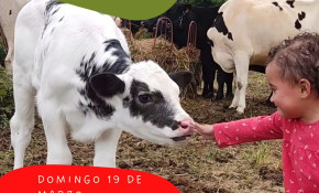 Jornada de voluntariado animal - Oruña ...