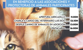 Mercadillo solidario a beneficio de 11 ...