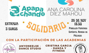 Festival solidario de danza - Renedo de ...