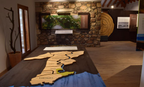 Visitas guiadas - Centro de ...