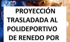 TRASLADADA PROYECCIÓN 'El gato con ...