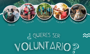 Campaña captación voluntarios Ayto. ...