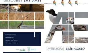 Exposición Aves Europa - Centro ...