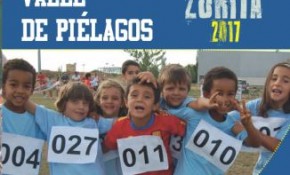 XXII Campeonato Escolar 'Real Valle de ...