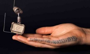 'El Peregrino' - El MAF en La Redonda