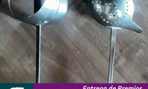 Entrega premios II edición concurso de ...