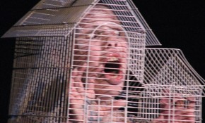 'Yo soy japonesa' - IV Muestra de ...