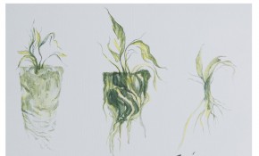 Inauguración exposición 'Diversidad' ...