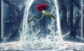 Clausura curso 2017-2018 Escuela ...