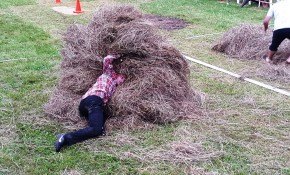 Concurso de Salto Pasiego - Fiestas ...