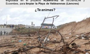 Jornada limpieza en la Playa de ...