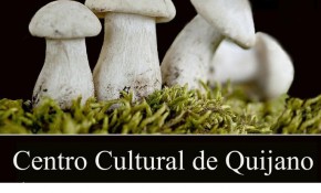 Conferencia 'Setas comestibles en ...