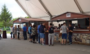 Feria de Día de San Antonio