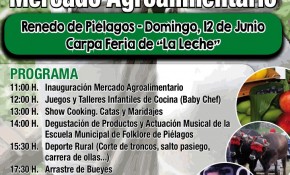 Feria de la leche y Mercado ...