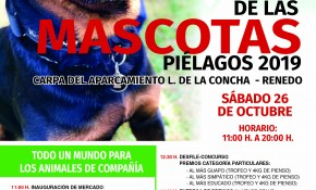 'Renedo & Pets' 2019