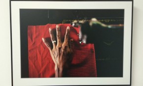 Exposición 'Desde el Sur' - Centro ...