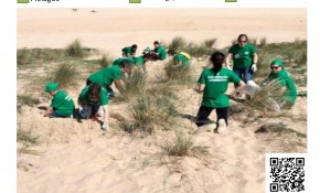 Actuación mejora sistemas dunares ...