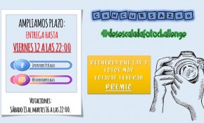 Ampliación plazo - Concurso ...