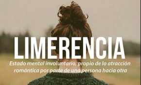 Concurso 59'' - Festival Internacional ...