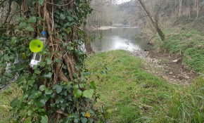 El Ayuntamiento de Piélagos ...