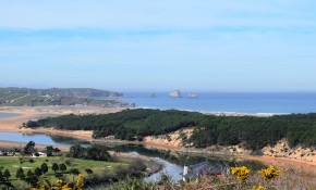 Piélagos promocionará sus numerosos ...