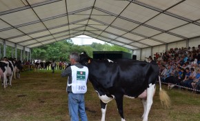 Renedo acoge este domingo una nueva ...