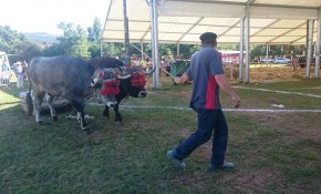 Tradición, cultura y folklore ...