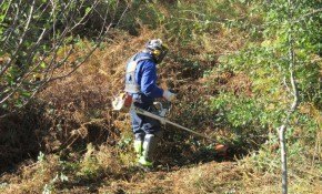 Concluyen los trabajos de ...