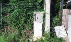 Piélagos renueva los cuadros ...