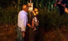 Piélagos lanzará mañana, sábado, el ...