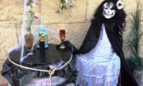 Librería Lisaso y Cervecería Avenida ...