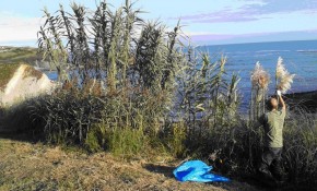 El Ayuntamiento de Piélagos pondrá en ...