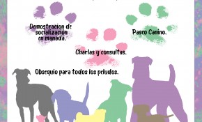 La Asociación Rescata-Me Piélagos ...