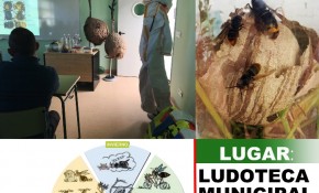 Piélagos celebrará este sábado una ...