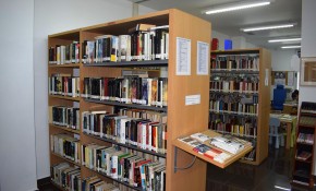 La Biblioteca municipal de Renedo pone ...