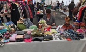 Renedo acoge este fin de semana su VII ...