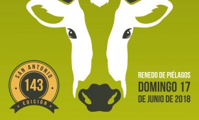 El próximo viernes finaliza el plazo ...