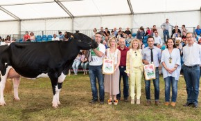 Más de un centenar de reses de 26 ...