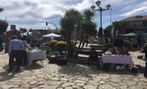 El próximo miércoles finalizará el ...