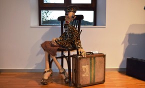 ‘El desván de las ilusiones ...